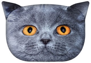 BER. PODUSZKA KOT "LEON" L 45x30 K.2469