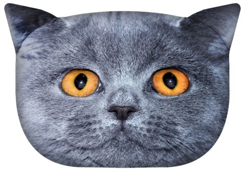 BER. PODUSZKA KOT "LEON" L 45x30 K.2469