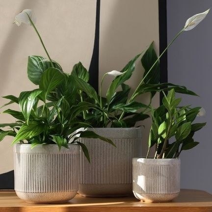 01.715.13 OSŁONKA CERAMICZNA 41171