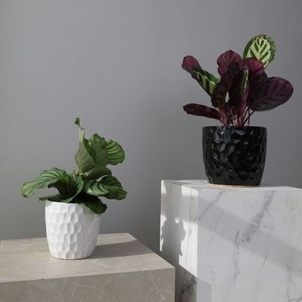 01.716.21 OSŁONKA CERAMICZNA 41218