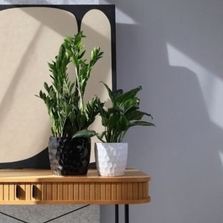 01.717.21 OSŁONKA CERAMICZNA 41232