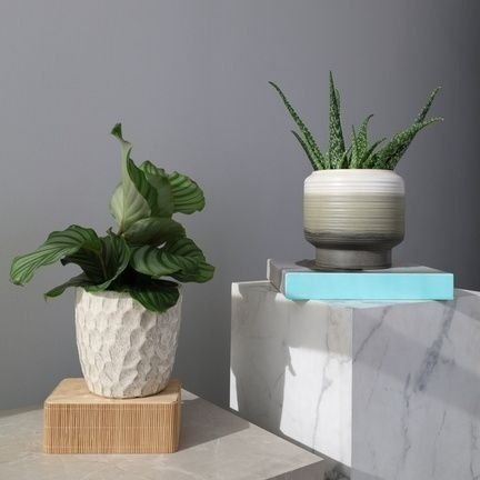 01.718.17 OSŁONKA CERAMICZNA 41249