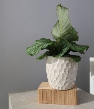 01.718.21 OSŁONKA CERAMICZNA 41256