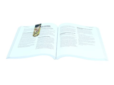 CARM. 013-4001 ZAKŁADKA MAGNETYCZNA KLIMT