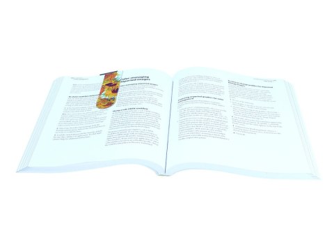 CARM. 013-4021 ZAKŁADKA MAGNETYCZNA VAN GOGH