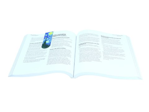 CARM. 013-4022 ZAKŁADKA MAGNETYCZNA VAN GOGH