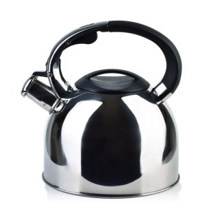 MX HTXD6592 STEN SILVER CZAJNIK 2,5L