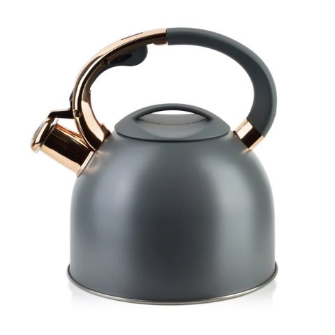 MX HTXD6639 STEN GOLD CZAJNIK 2,5L SZARY