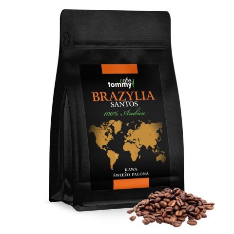 KAWA BRAZYLIA SANTOS 17/18 250G
