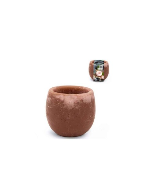 36219 AROMATYCZNA KULA MISECZKA AMBER