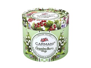 CARMANI 707-3109 KUBEK BABUNI BRATKI