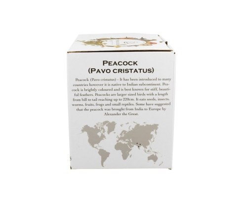 DUO KUBEK 400ML PTASI ŚWIAT PAW K.5337