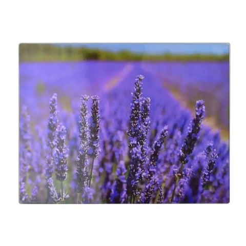 MX HTXD8552 ARIA DESKA 40x30 SZKLANA LAWENDA